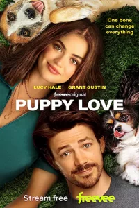 ดูหนังออนไลน์23.หนังใหม่เต็มเรื่อง.Puppy Love (2023)